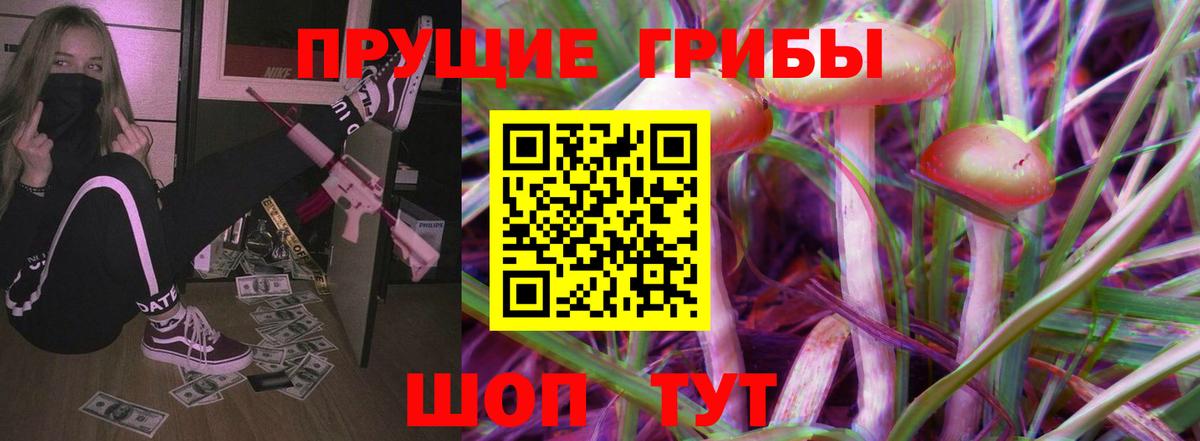 Россия  Псилоцибиновые грибы прущие грибы  Вход с VPN 